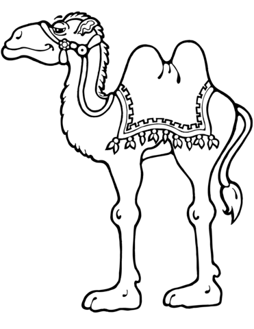 Camel Standing Coloring Page